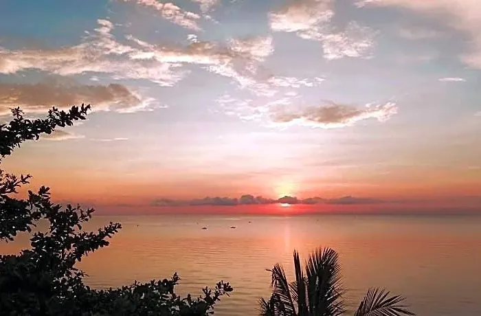 Smallfrys 5* Cebu
